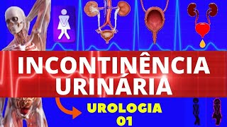 INCONTINÊNCIA URINÁRIA CAUSA TRATAMENTO E EXERCÍCIOS  COMO RESOLVER A INCONTINÊNCIA URINÁRIA [upl. by Flam]