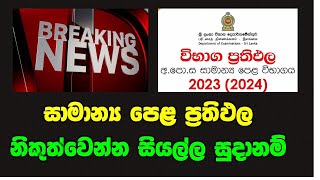 සාමාන්‍ය පෙල ප්‍රතිඵල සියල්ල සූදානම් OL Results Release Date 2024 ol 20232024 Results Releasing [upl. by Ytsirk]