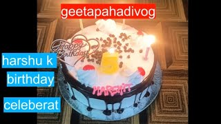 harshu k birthday party ki massti vlog [upl. by Birkle449]