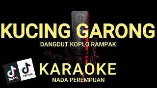 KUCING GARONG  NELLA KHARISMA  KARAOKE HD [upl. by Doig]