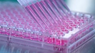 How to Generate Hybridomas in 96Well Plates Using ClonaCell™HY SemiSolid Cloning Medium [upl. by Mars]