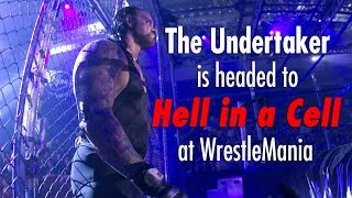 What you need to know about The Undertaker and Hell in a Cell  What you need to know [upl. by Jackquelin754]