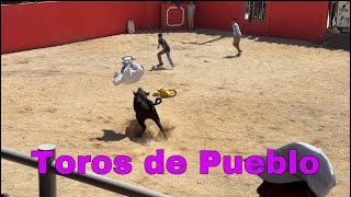 Toros de Pueblo en Pelileo 2024 [upl. by Ranita433]