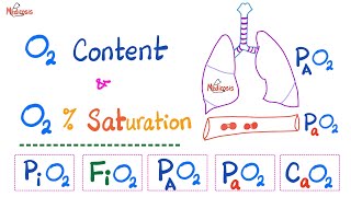 Oxygen Content  Oxygen Saturation SaO2   Oxygen Partial Pressure  Respiratory Physiology [upl. by Codding]