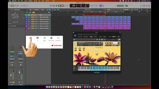 Studior4u New Nadaswaram Kontakt Library Free [upl. by Ena537]