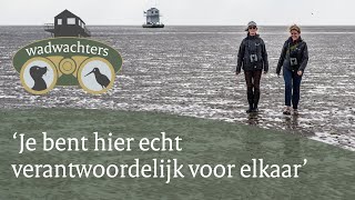 Een week lang overnachten op een zandplaat in de Waddenzee  Wadwachters  1 [upl. by Ligetti]