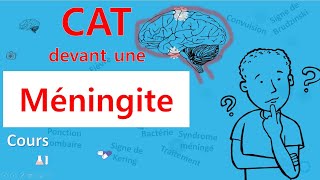 Méningite🙄 cest quoi la CAT 🤔  Cours  Infectiologie [upl. by Acyre]