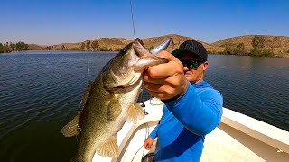 Fishing My Favorite Time of Year Southern California Largemouth Bass [upl. by Filahk574]