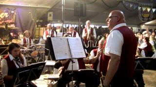 Am Strande der Donau Donaulied  Live auf dem Oktoberfest Insul 2011 [upl. by Jared470]