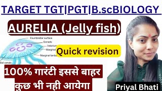 Aurelia Jelly fishesQuick revisionUptgtpgtbiologyBscbiologyTGT PGTlby Priyal bhati [upl. by Htnamas471]