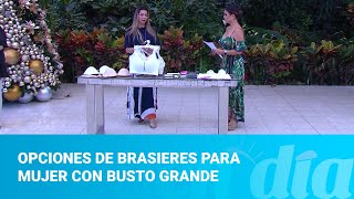 Opciones de brasieres para mujer con busto grande [upl. by Nocaj553]