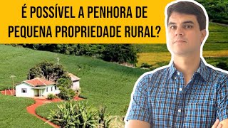 É possível a PENHORA de pequena PROPRIEDADE RURAL Qual é sua definição [upl. by Enerual]