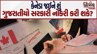 Canada જઈને શું ગુજરાતીયો સરકારી નોકરી કરી શકે  Canada  Nirbhay News [upl. by Eiramanig]