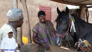 La compagnie Moussa Concours des chevaux Gaani KOUANDE [upl. by Finzer]