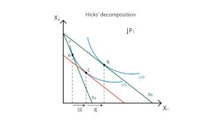 A9 Income and substitution effects  Consumption  Microeconomics [upl. by Krasner]