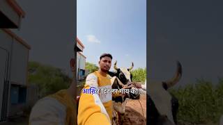 हिटलर गाय बहुत तकलीफ़ में है  🥹minishortsvlog trendingshorts viralshort [upl. by Edrahc]