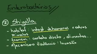 Enterobactérias 1 Shigella Salmonella Yersinia  Resumo  Microbiologia [upl. by Biancha]