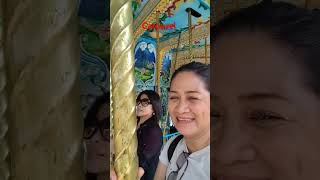 Rides carousellcarousels hongkongadventures hongkongtouristspot funny birthdaybirthdayvlog [upl. by Hibbert]