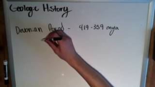 Precambrian and Paleozoic Events  Geologic Time [upl. by Gennie]