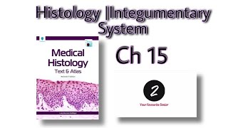 Integumentary System  Chapter 15  Histology  Laiq Hussain  Markings [upl. by Nessim]