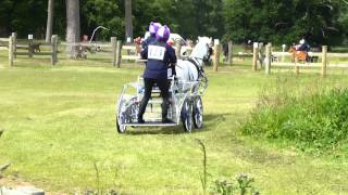 29 Sarah Baverstock GBR FEI Para Equestrian Sandringham Horse Driving Trials 2013 Marathon O1 [upl. by Attennod]