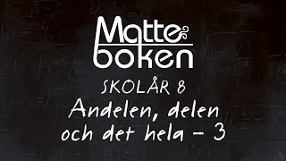 Andelen delen och det hela lektion 3  Skolår 8 [upl. by Aelegna]