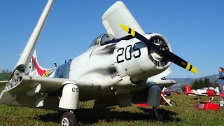 RC WARBIRD SKYRAIDER A1 SCALE MODEL AIRPLANE SCHÄNIS IG WARBIRD MEETING [upl. by Joub]