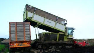 HD Kettenhäcksler Einsatz in Ostfriesland 2012 [upl. by Aihsema]