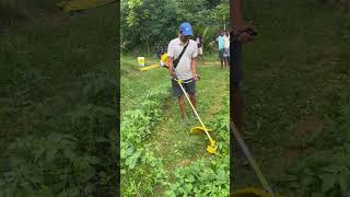 How to control weeds in organic farming Say no to herbicide and keep the soil healthy hrfarms [upl. by Aihsyla524]