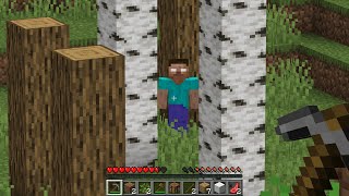 I found Herobrine in Minecraft Survival [upl. by Irahs]