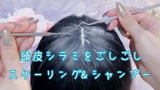 【ASMR】頭皮のシラミ治療とシャンプーロールプレイLice treatmentsshampoohead massage RP [upl. by Hilary593]