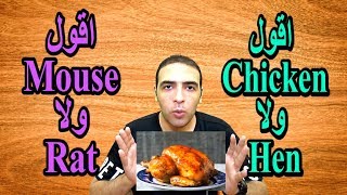 الفرق بين hen و chicken و الفرق بين rat و mouse [upl. by Linson]