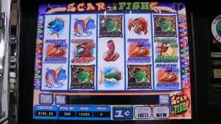 KONAMI HERCULITE Scar Fish VIDEO SLOT MACHINE [upl. by Anez]