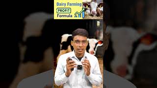 Dairy Farming Profit Formula [upl. by Arodnap706]