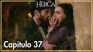 Hercai Capítulo 37 [upl. by Razal390]