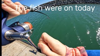 Fishing in Port Hedland [upl. by Sajovich175]