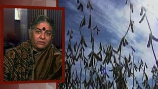 Vandana Shiva on Bowman v Monsanto This Case Is About Every Farmer Person and Seed in the World [upl. by Kuhn]