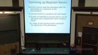 8 The Expression of Variation Reaction Norms [upl. by Ritz]