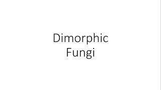 Dimorphic Fungi  Microbiology [upl. by Tyson]