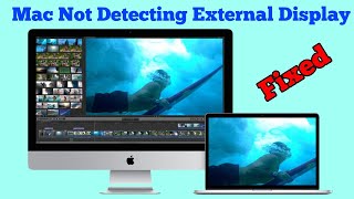 macOS SequoiaSonoma Not Detecting External MonitorDisplay  Fixed 2024 [upl. by Garlen]