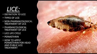 LICE  TYPES OF LICE  NONPHARMACOLOGICAL TREATMENT OF LICEPHARMACOLOGICAL TREATMENT OF LICE [upl. by Aret458]