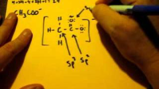 Lewis Dot Structure of CH3COO acetate ion [upl. by Adekan]