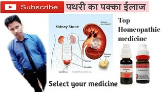 Uses of Berberis Vulgaris in Kidney Stone  Best medicine for kidney stone by DrTarun [upl. by Cesar]