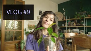 9 VLOG  PLANTE DEXTÉRIEURE  ÉCHANGE CRÉATIF AVEC UNE ABONNÉE  UPDATE PLANTE amp TUTEUR MAISON [upl. by Leoni]