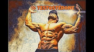 Augmenter sa testostérone le ZINC 30 jours 30 conseils pour booster sa testostérone [upl. by Atinauj]