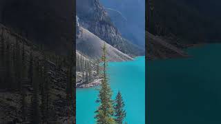 Moraine Lake Calgary [upl. by Tien]