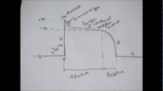 Physiological Anatomy of Cardiac Muscle  Structure amp Types [upl. by Ilenna709]