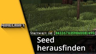 Minecraft Seed herausfinden Java amp BedrockEdition ✅ Tutorial [upl. by Olcott]