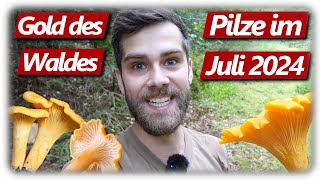 Pilze ohne Ende  Die Beste Pfifferling Saison  mit Crêpes Rezept [upl. by Ogires118]