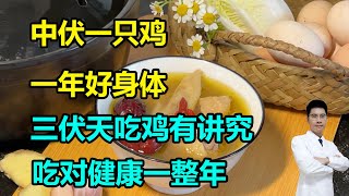 “中伏一只鸡，一年好身体”！三伏天吃“伏鸡”有讲究，吃对健康一整年 李医生谈健康 [upl. by Poppas]